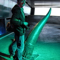 Penis of a sperm whale (2294 visitas) Penis of a sperm whale